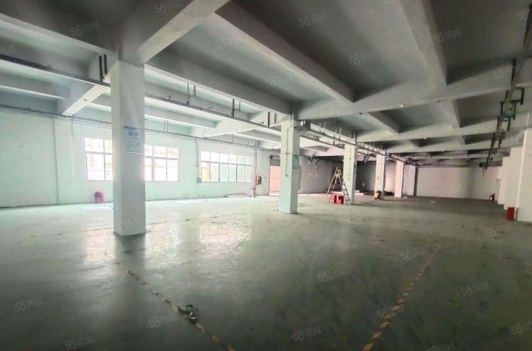 原房东无公摊！龙岗宝龙一楼新出2千平厂房仓库出租5百平起分租