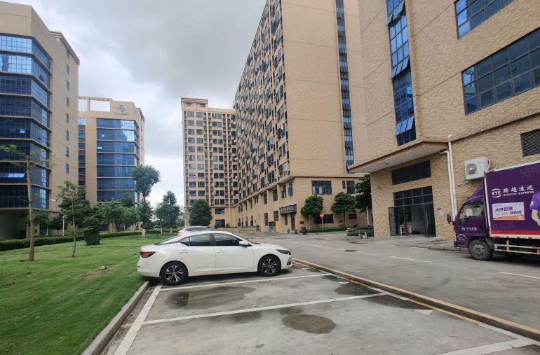 15元清盘平湖楼上一手房东5000平无公摊带装修红本厂房仓库