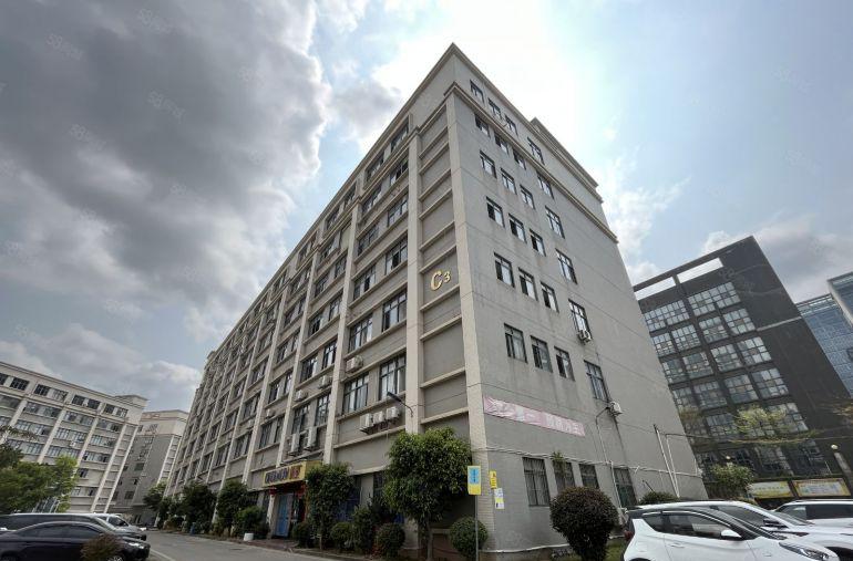 坂田雪象地铁口200平至2000平厂房出租 电商仓库分租