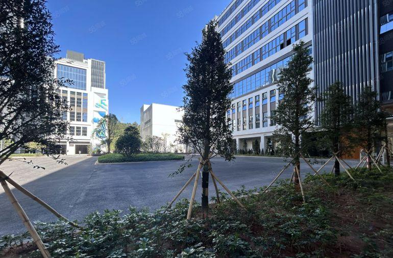 可定制装修 500平起租 横岗医疗产业园全新红本厂房出租