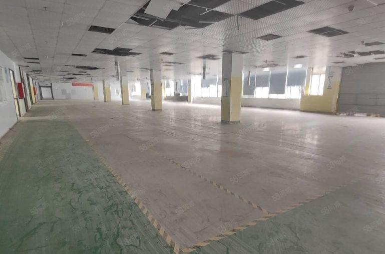 龙岗宝龙高新园区厂房仓库出租一二楼1500平一层有地坪漆装修