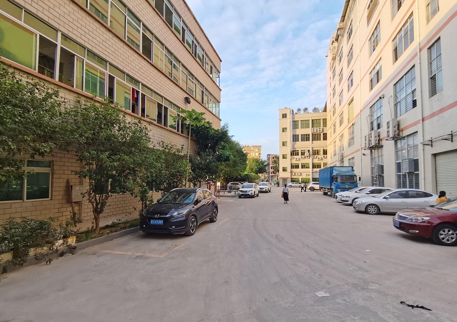 龙岗南联地铁口旁原房东800平厂房出租200平起租公摊小