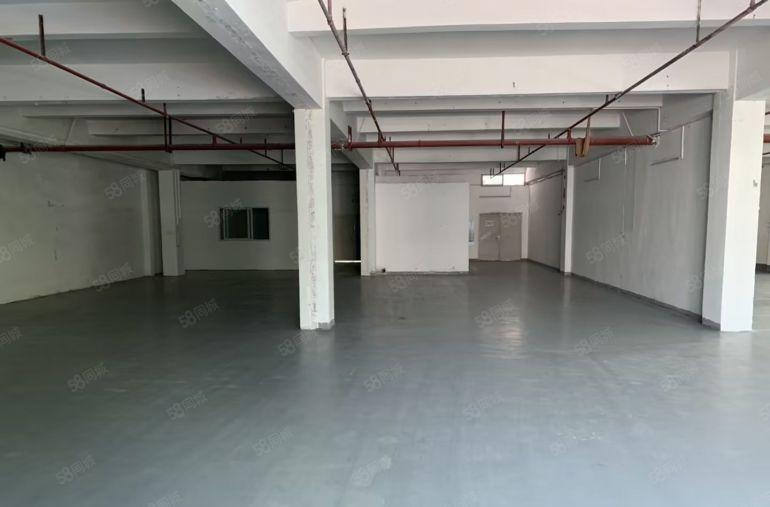 房东招租龙岗上李朗莱茵工业区直租437平送免租特价17元