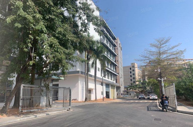 空地超大，坂田一楼2000平厂房出租仓库出租物流仓库可分