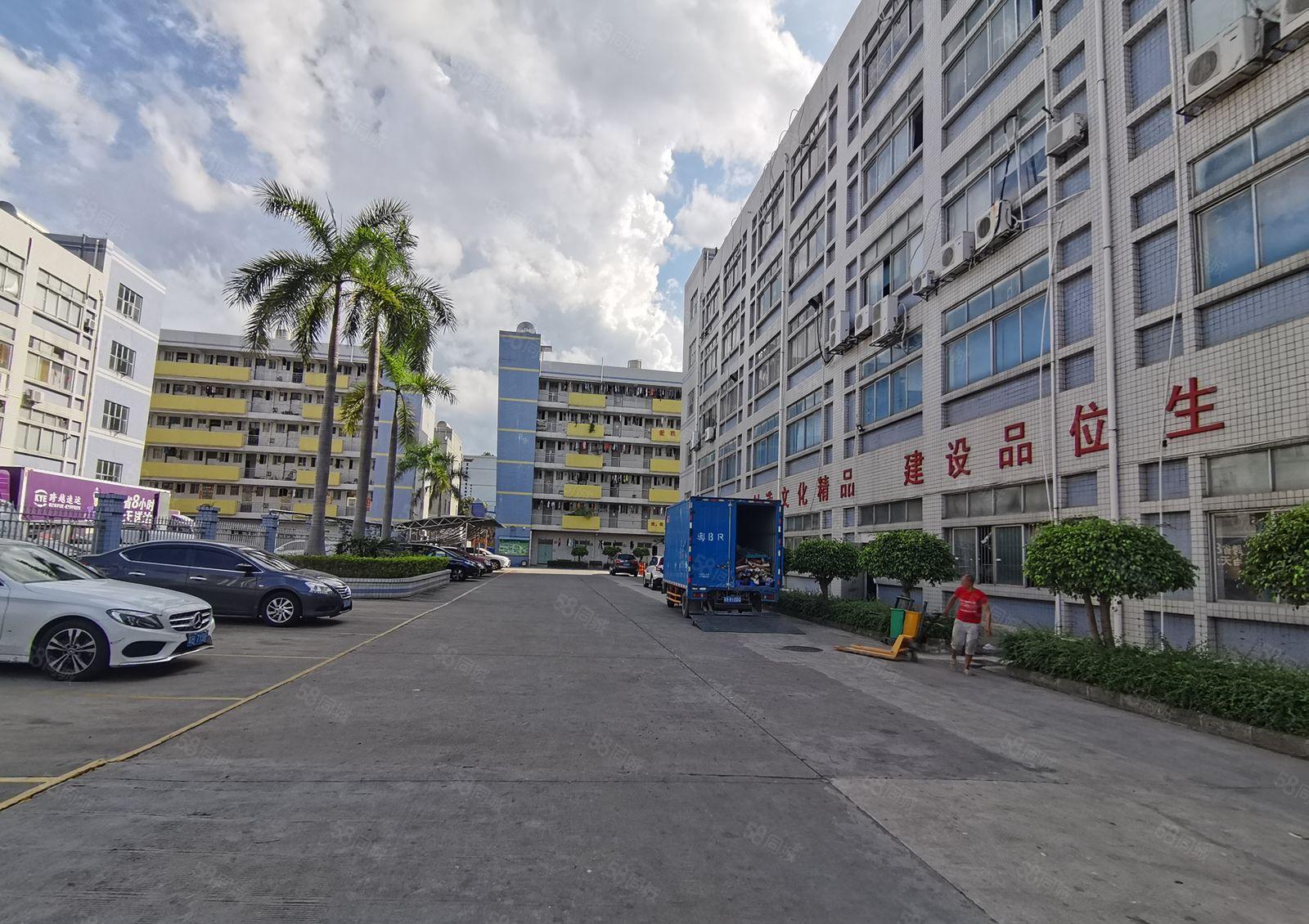 平湖华南城旁原房东100平起分租独院6千平厂房仓库低价出租转