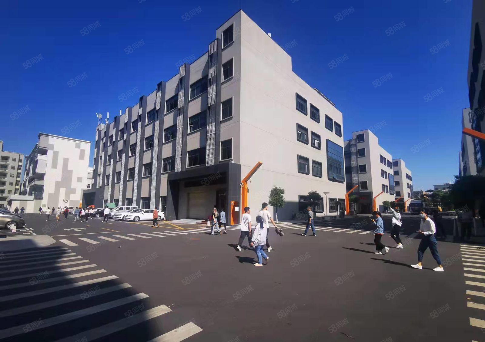 塘坑地铁站旁大型电商园新出二楼600平方精装修办公室厂房出租