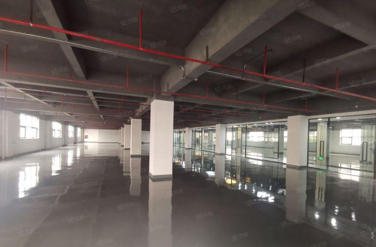 100平起租坂田地铁口旁电商园1850平独栋仓库办公室出租