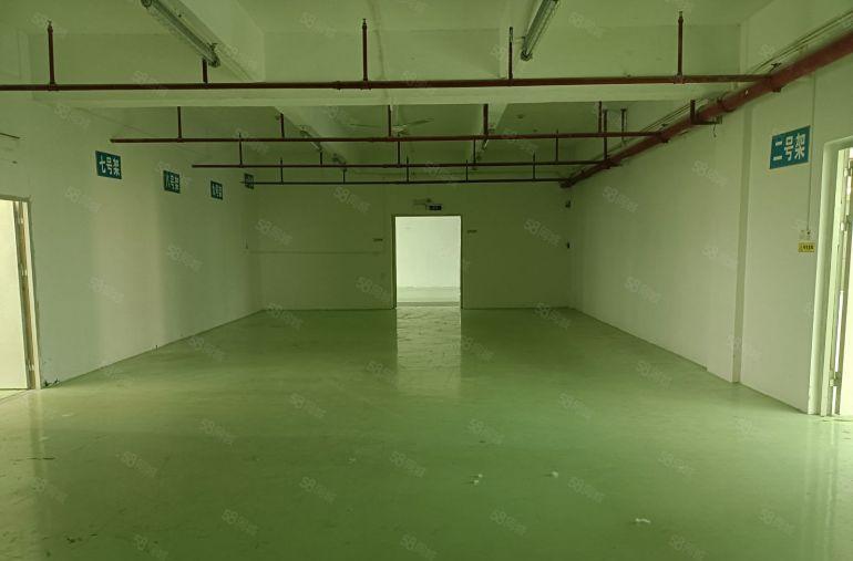 坪地高桥新出1200平原房东厂房实际面积出租