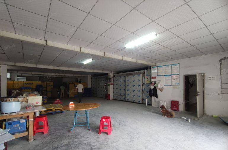 平湖万达附近原房东一楼一整层700平，实际面积出租