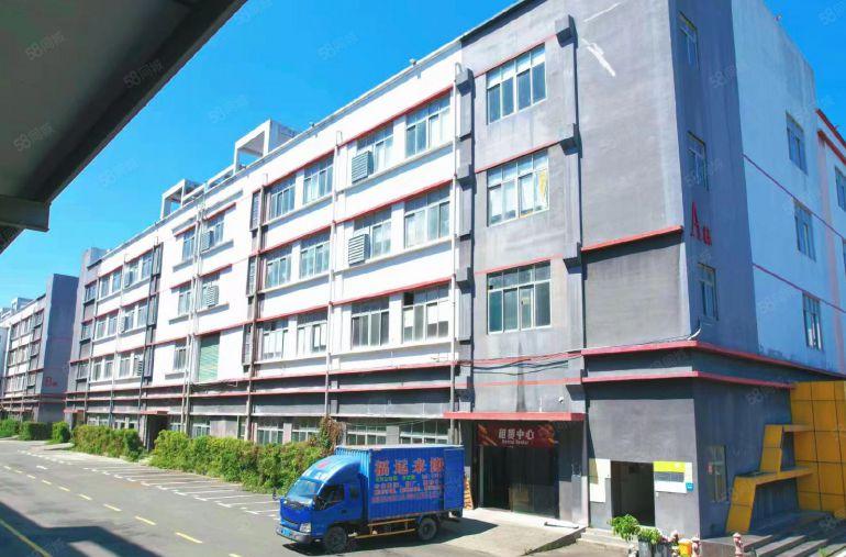 龙岗低价一楼出租8米高可分租