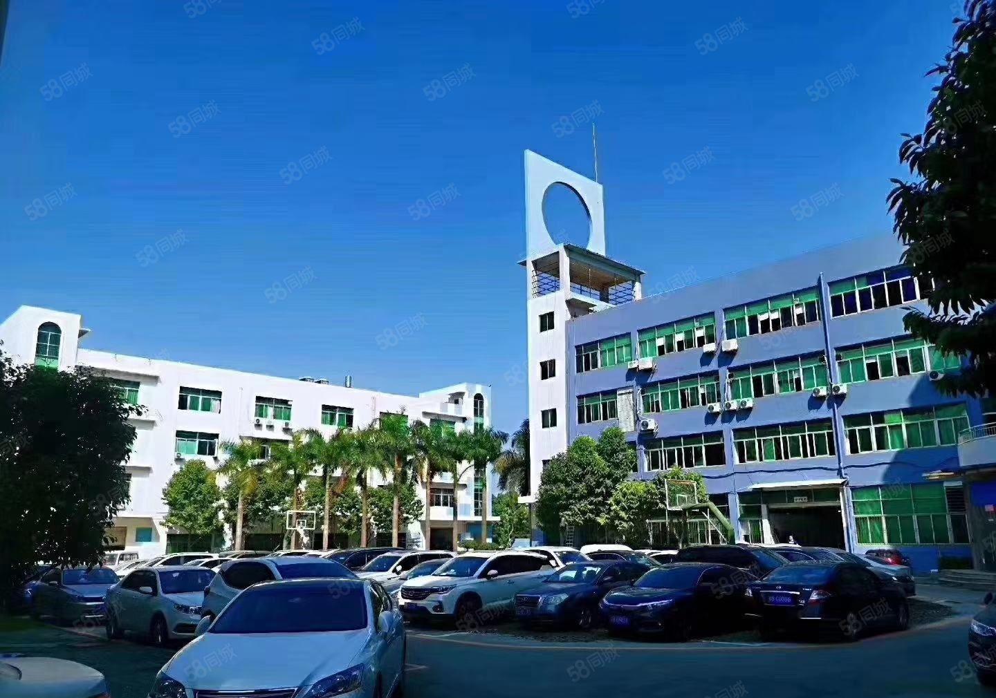 龙东原房东大型工业园新空出一楼1000平方带牛角厂房可分租