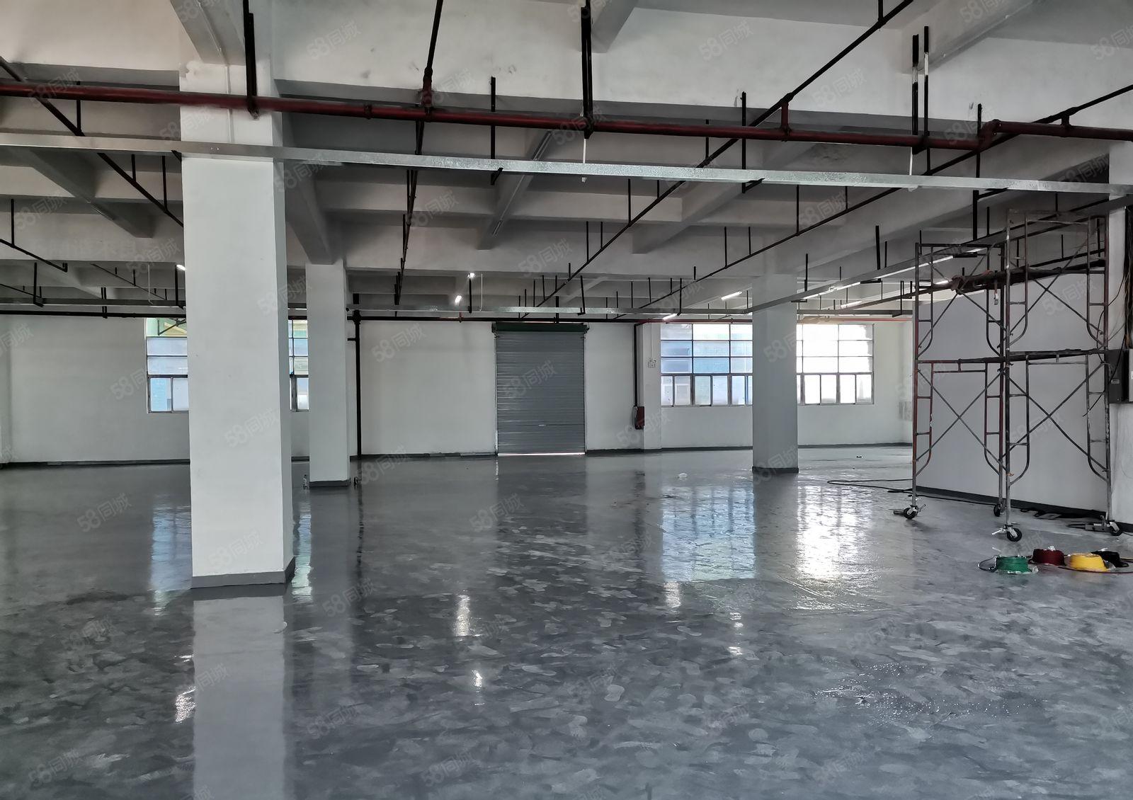 龙岗中心城爱联嶂背工业园原房东红本1楼500平带装修水电齐全
