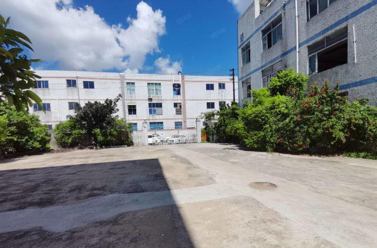 龙岗中心城新出唯一独栋4000平厂房出租可分租空地大带装修