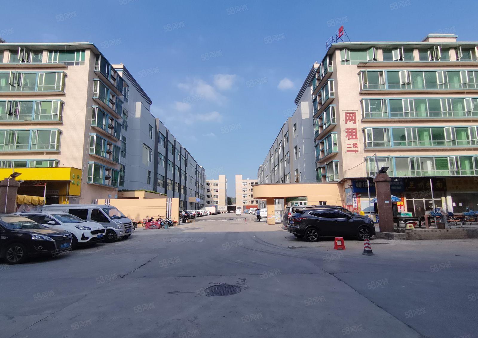 平湖新木华南城独院原房东2百5百1千3千一楼厂房仓库低价出租