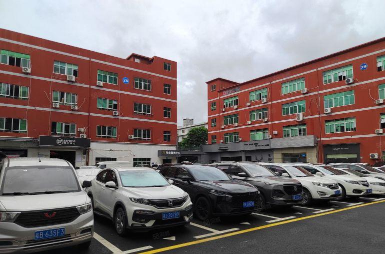 龙岗吉祥地铁口精装修电商办公室加仓库加直播间低价出租，可分租