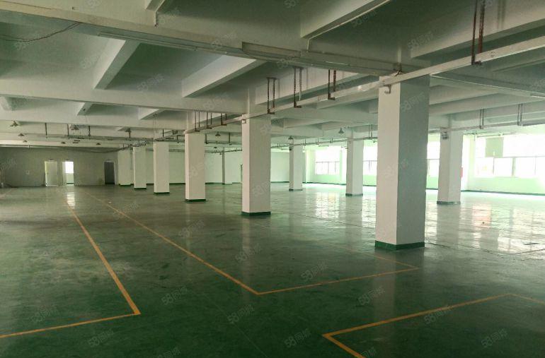 平湖辅城坳独院6200平方厂房仓库出租形象好交通方便可办环评