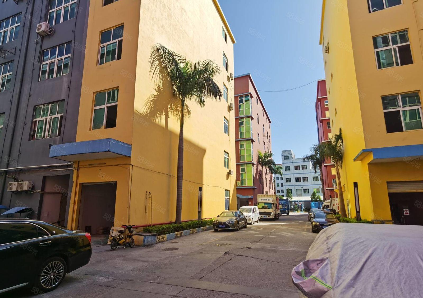 100起分租龙岗大工业园区厂房出租精装地坪漆消防喷淋无尘车间