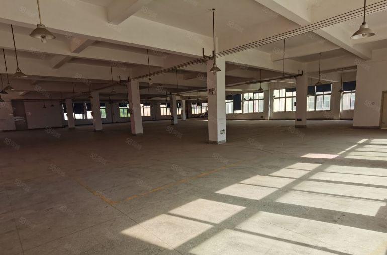 平湖辅城坳独门独院原房东厂房出租8500平方