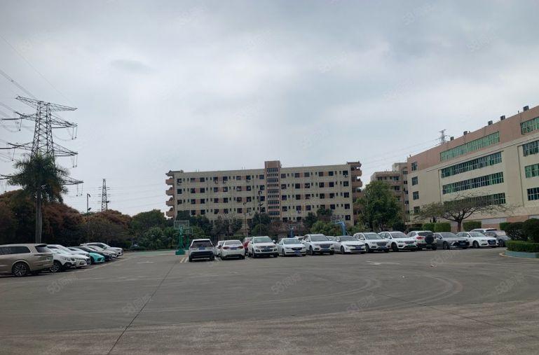 坂田上雪楼上1000平精装修厂房出租仓库出租可办公大小可分租