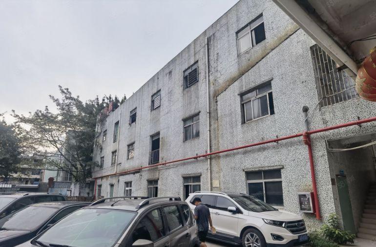 龙岗新生龙园大观新生路一楼700平整层可以分租一半