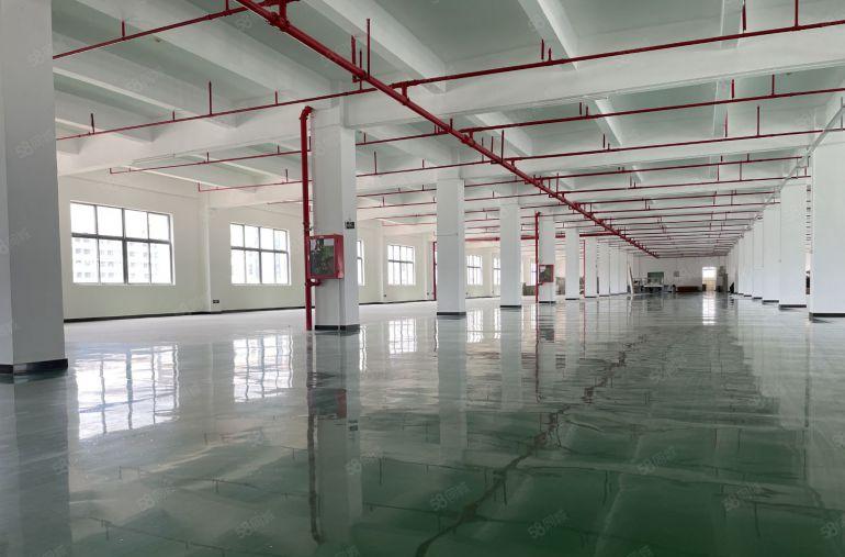 空地超大龙岗宝龙原房东高新园区独院出租，价格便宜，免租半年