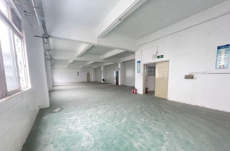 龙岗坪地坪东300 平方独门独院厂房出租,园区空地大,可分租