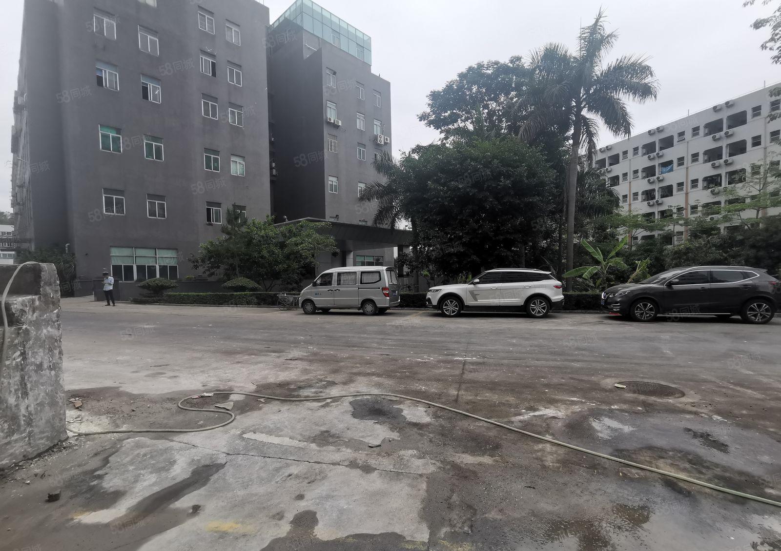 100平起租坂田上雪工业园带精装修电商办公室一楼仓库厂房出租