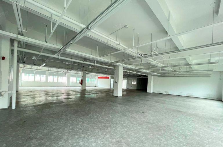 （科研型厂房出租）岗头厂房3楼面积3000平户型方正采光好