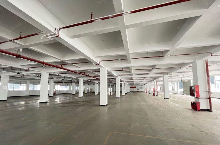 平湖华南城旁1000平电商产业园厂房仓库低价出租200起分租