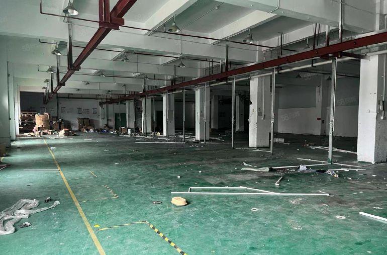 龙岗新生原房东独门独院厂房15000平方 300平起分租