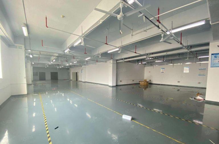 龙岗坂田上雪科技园1000平厂房 研发仓库出租