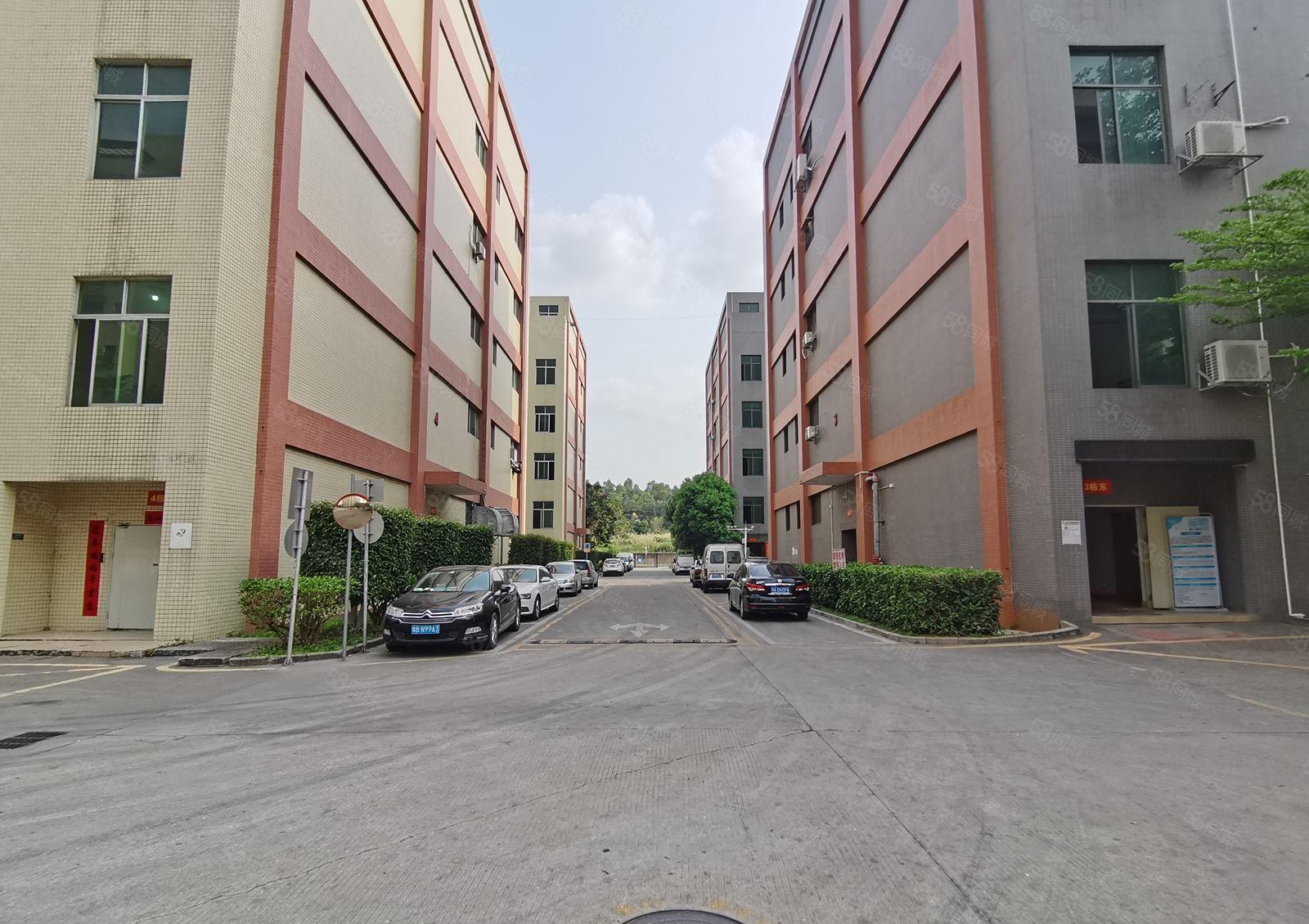 12米层高！横岗六约新出红本独院厂房仓库3万平可分租