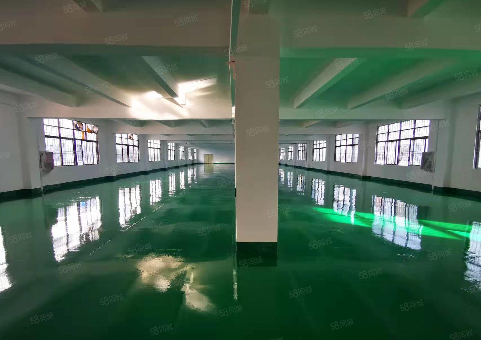 300平起租坪地一楼楼上厂房精装修厂房仓库，有红本，可办环评