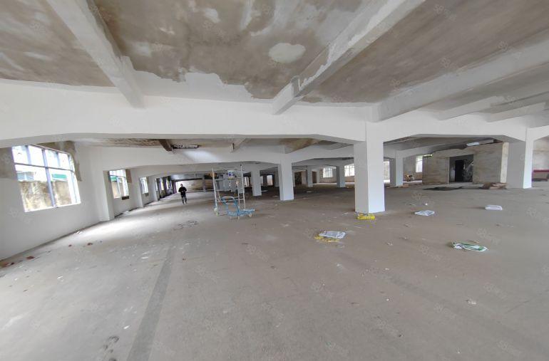 15元特价厂房1000平方平湖标准厂房仓库出租免佣金