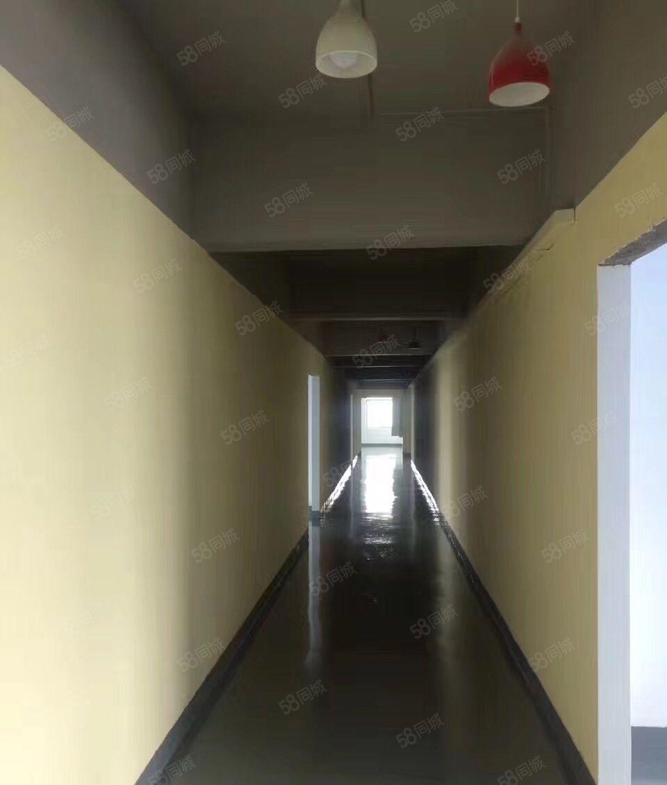 坂田雪象工业区厂房仓库出租