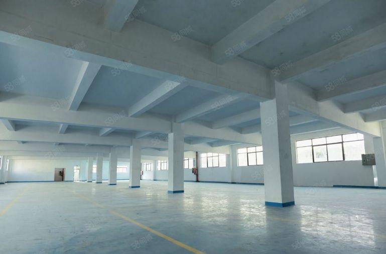 坂田一楼上雪科技园单层2000平米带装修厂房仓库出租