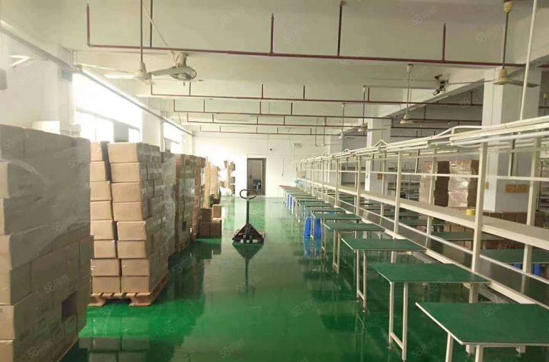 平湖原房东楼上一整层2000平带装修拎包入住厂房仓库出租