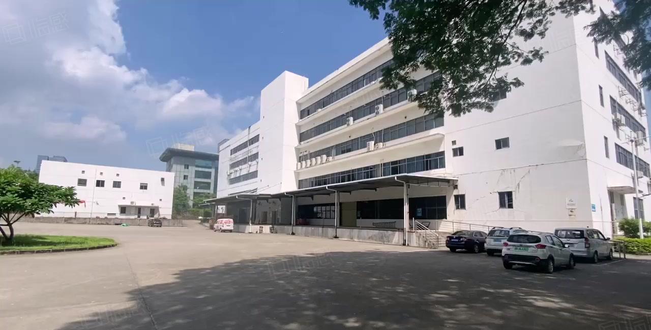 龙岗宝龙原房东楼上5002000平仓库厂房出租带卸货平台