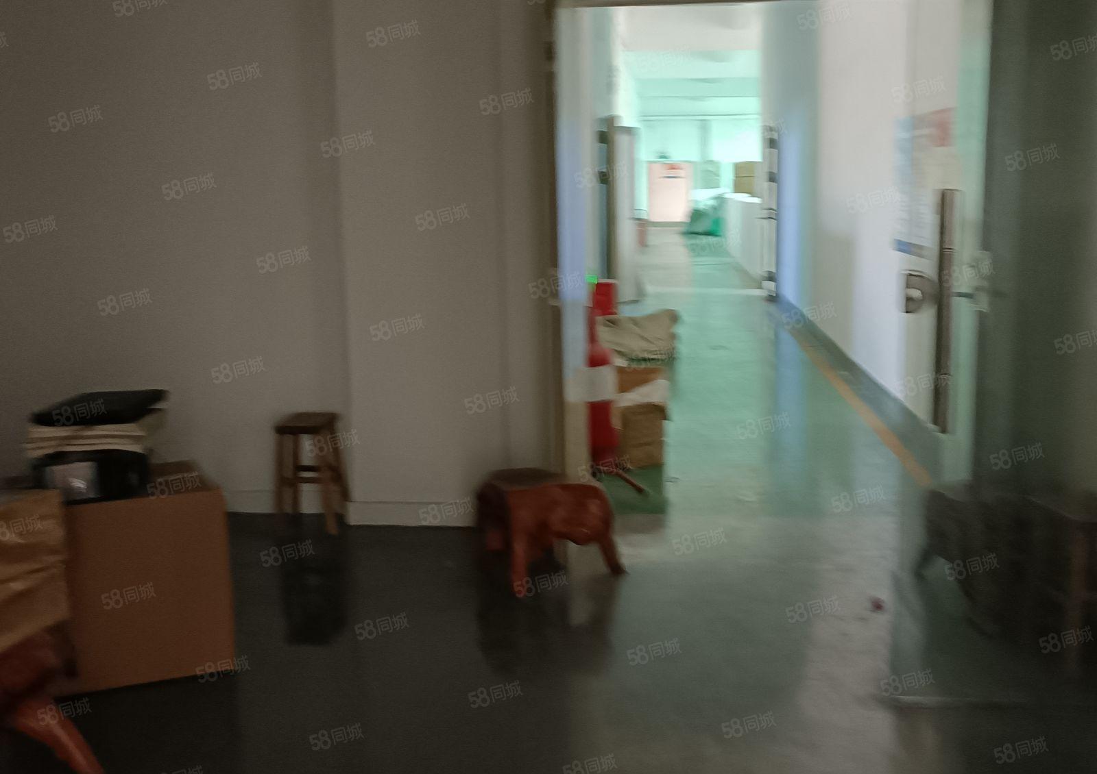 龙岗新生文化广场 二楼1200平米带装修出租