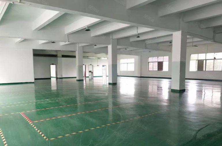 平湖海吉星附近独门独院3600平方厂房出租