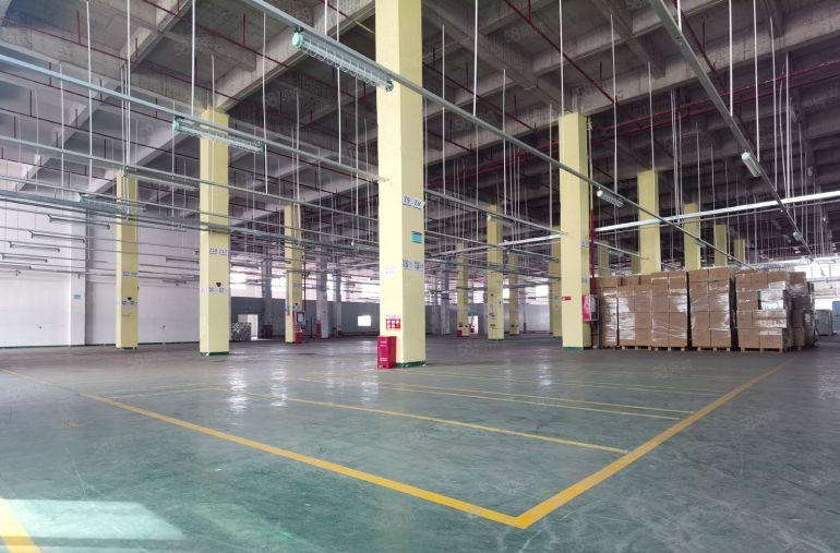 深圳横岗6000平方8米高一楼标准厂房出租带卸货平台可分租。