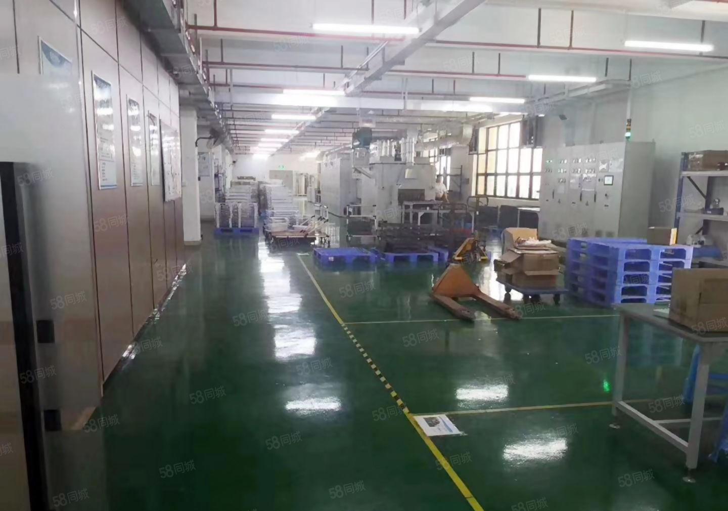 龙岗五联外环高速精装修750平厂房出租300平起可分租