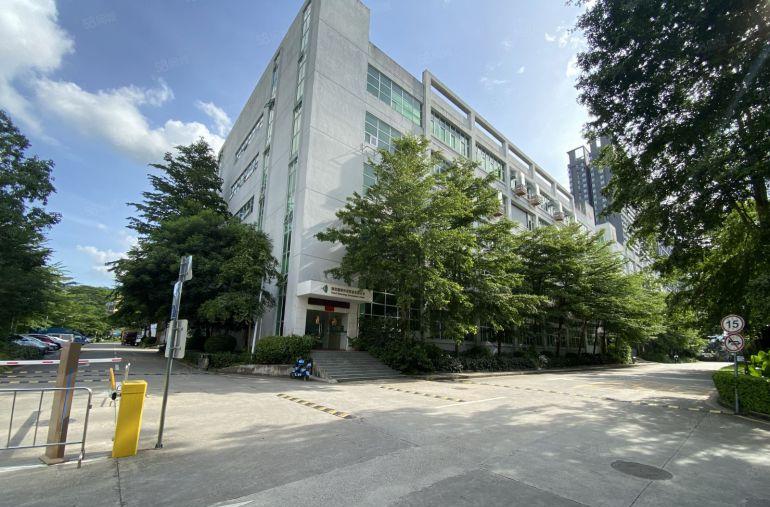 原房东带红本龙岗成熟工业区新出400平精装办公仓库厂房出租