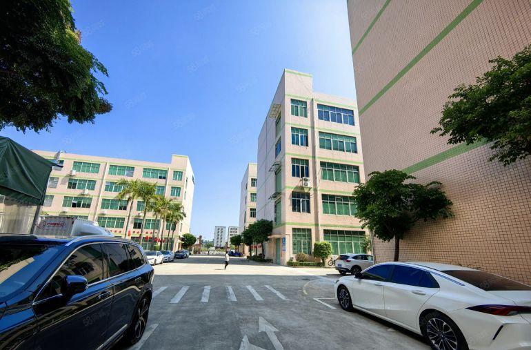 龙岗宝龙地铁站原房东科技园楼上1000平精装办公厂房仓库出租