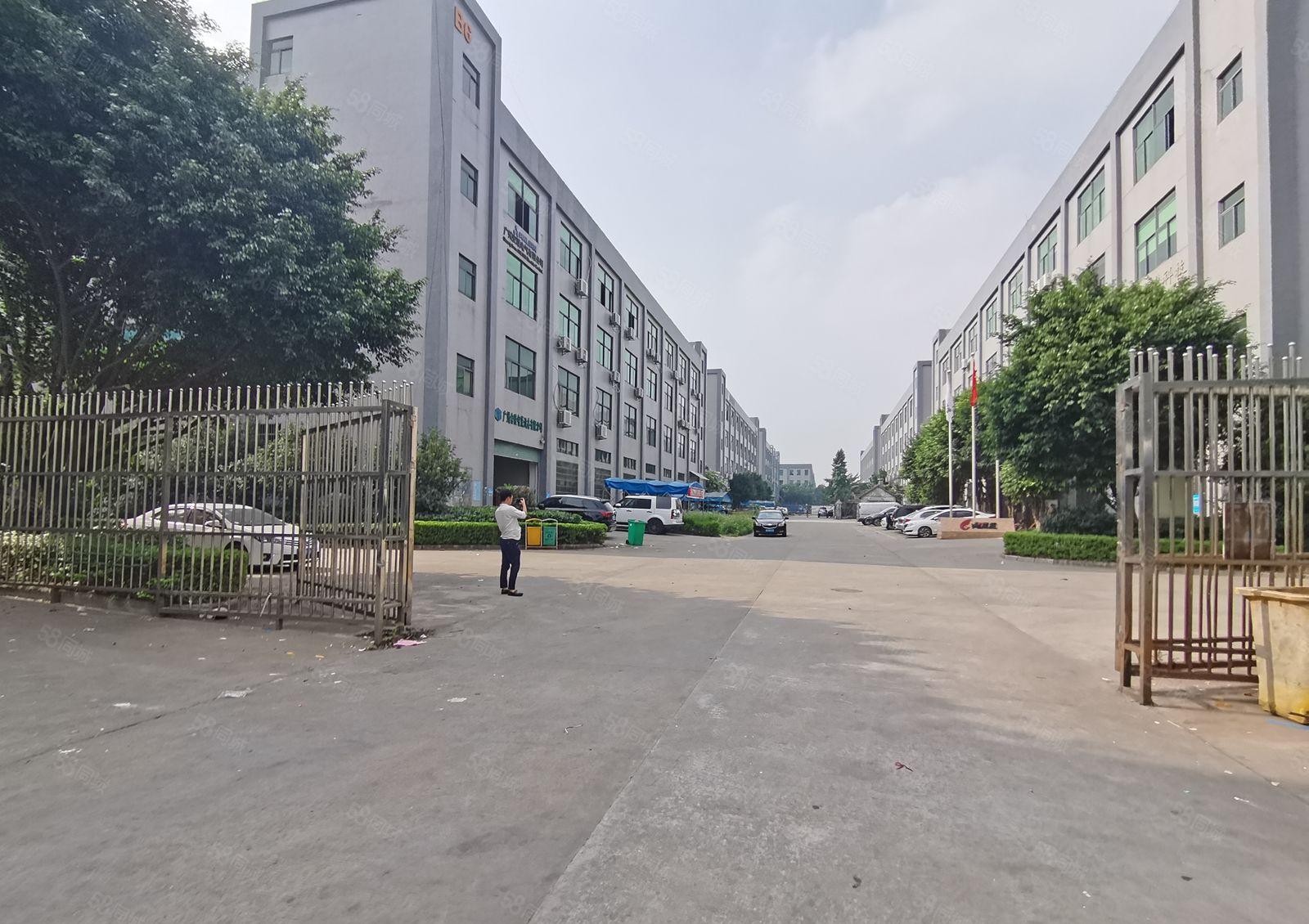 爱联一楼6米高1200平，有消防带环评，实际面积300平起租