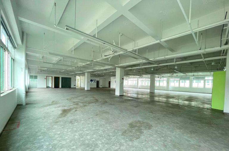 （科研型厂房出租）岗头厂房3楼面积3000平户型方正采光好