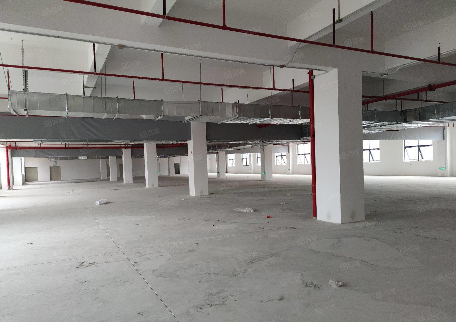 平湖业主独院厂房出租500平米至5000平米高速出口交通便利