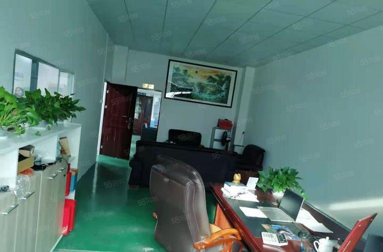 300平起分坪地低碳城原房东2000平精装修厂房一楼5.2米