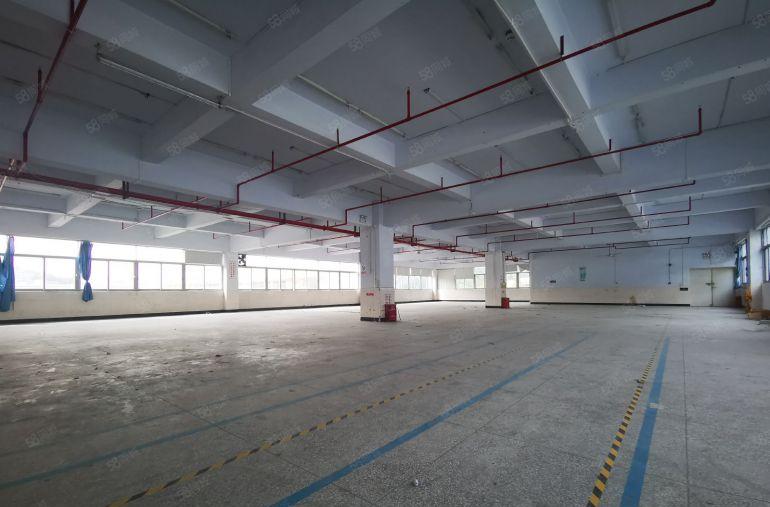 坂田上雪原房东红本1000平厂房出租带精装修可分租八成使用率