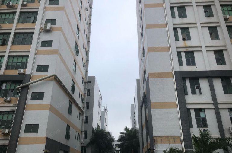 坂田五和地铁站厂房1000平可分租带装修免中